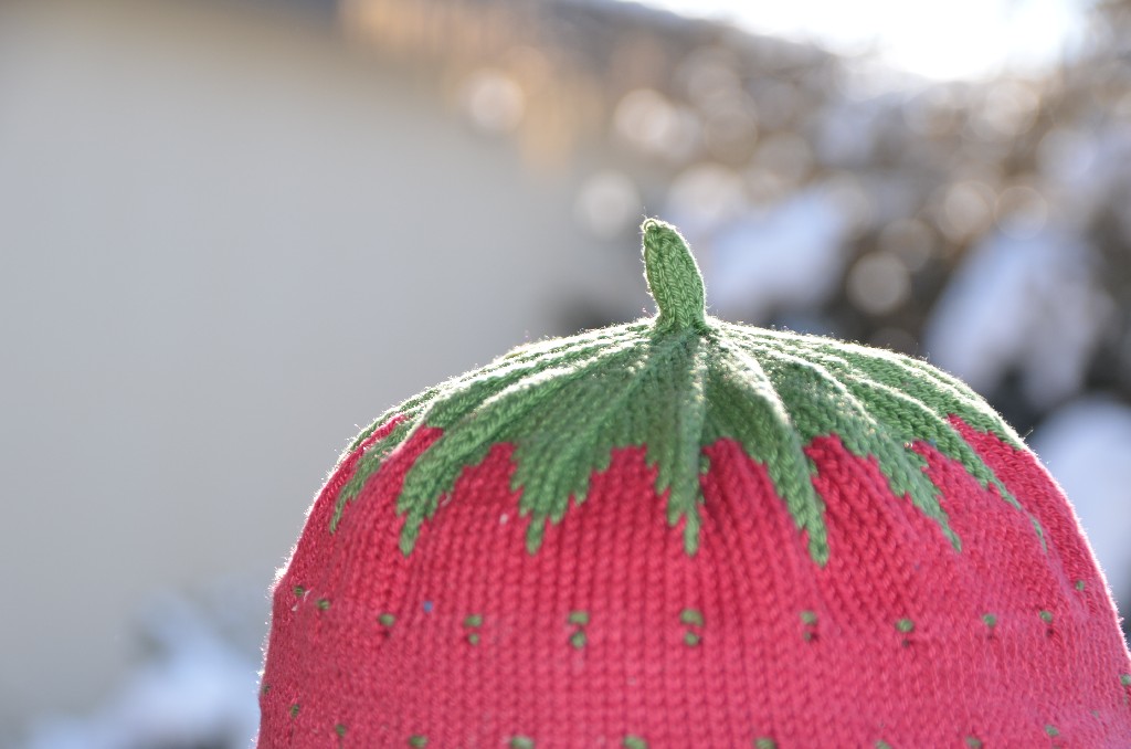 VGH_Umzug_Cham_2013_17