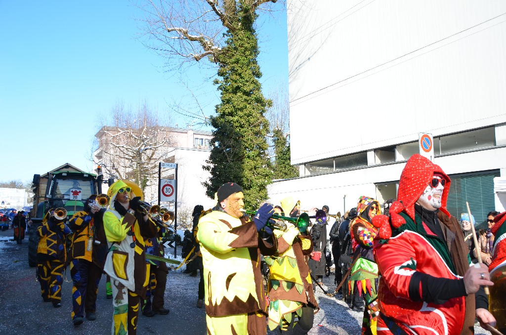 VGH_Umzug_Cham_2013_27