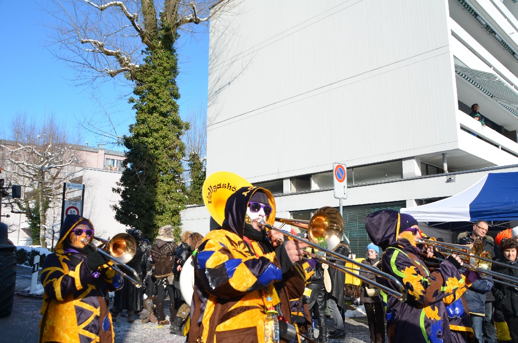 VGH_Umzug_Cham_2013_28