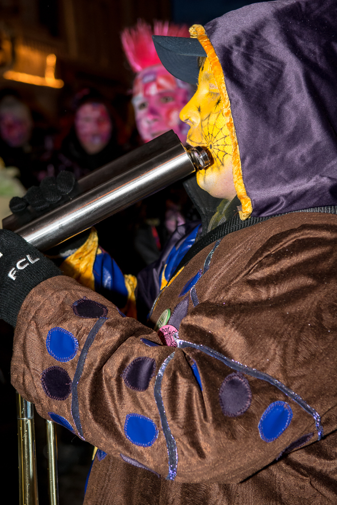 VGH_Lenzburg_2014_klein-21