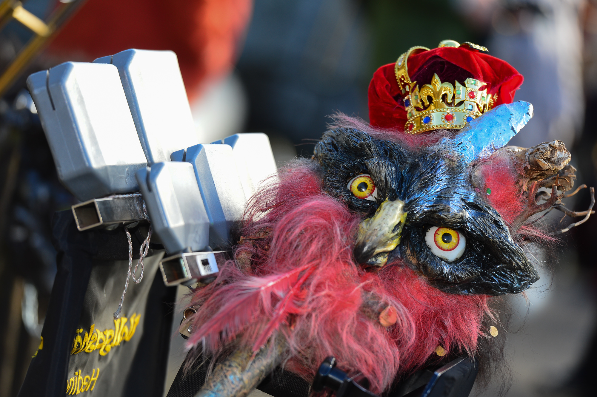 Umzug Hedingen 2016 / Hedingen - Zürich - Schweiz / 23.01.2016