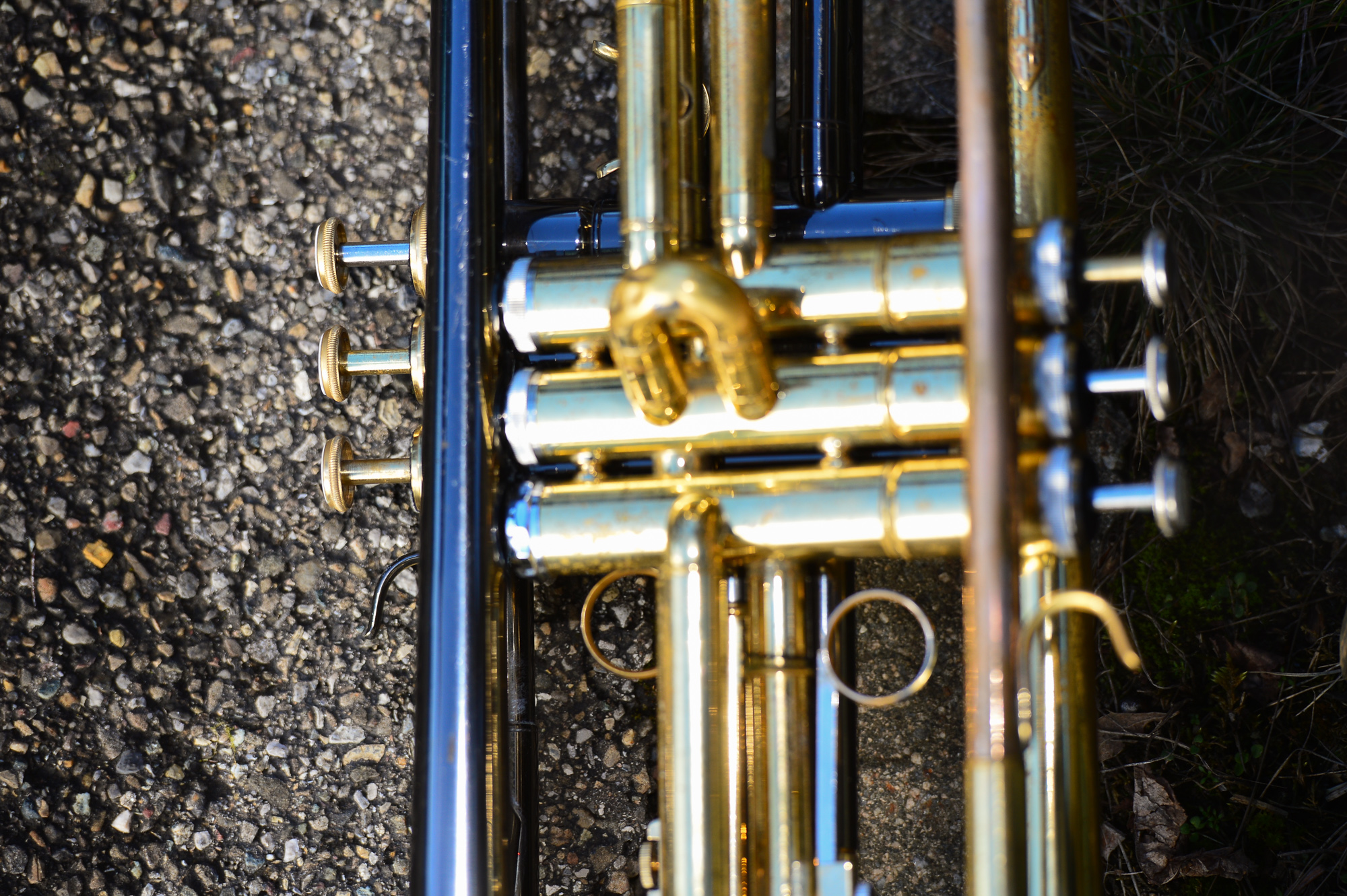 Umzug Hedingen 2016 / Hedingen - Zürich - Schweiz / 23.01.2016