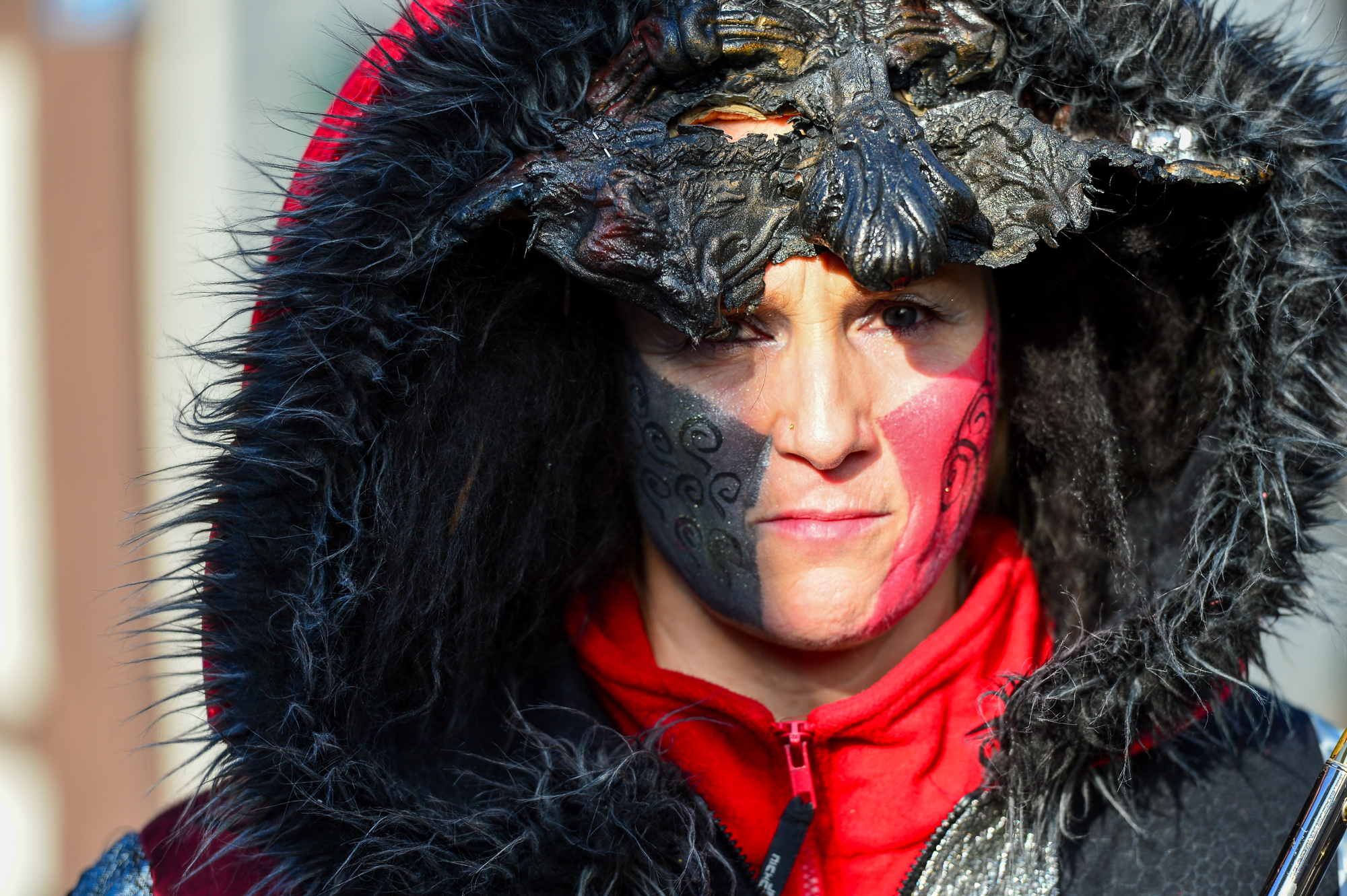 Umzug Hedingen 2016 / Hedingen - Zürich - Schweiz / 23.01.2016