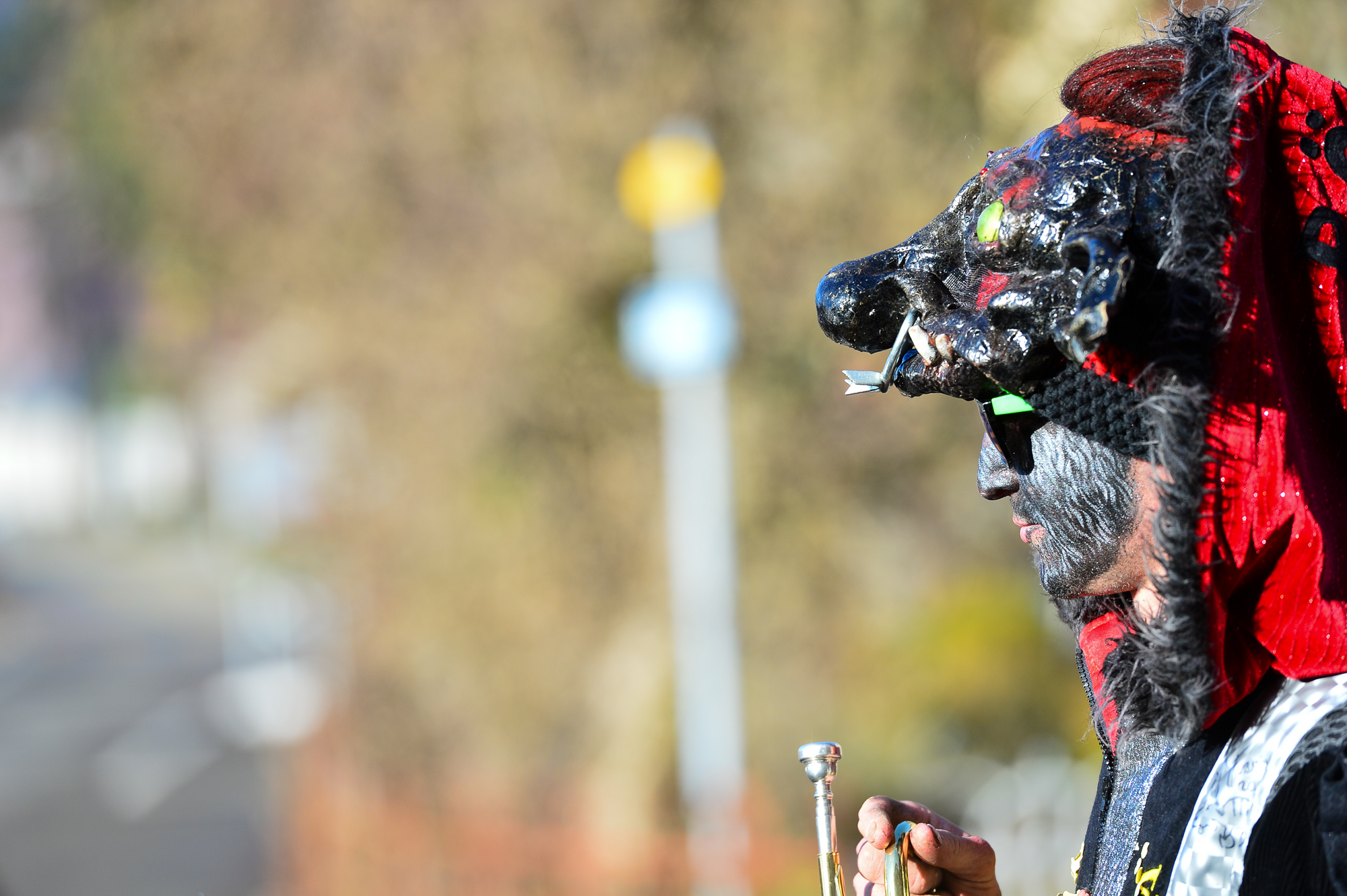 Umzug Hedingen 2016 / Hedingen - Zürich - Schweiz / 23.01.2016