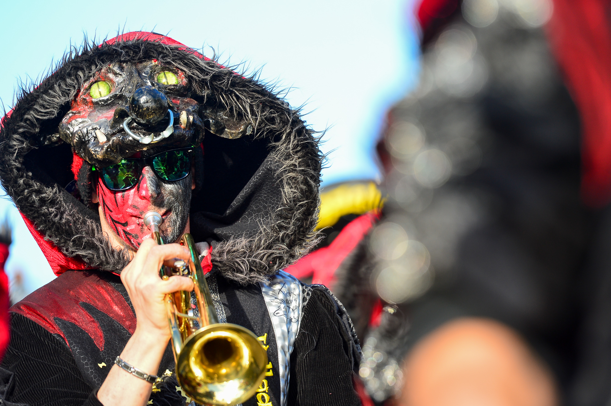 Umzug Hedingen 2016 / Hedingen - Zürich - Schweiz / 23.01.2016