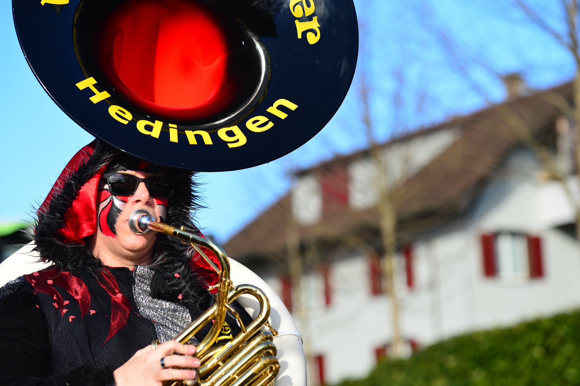 Umzug Hedingen 2016 / Hedingen - Zürich - Schweiz / 23.01.2016