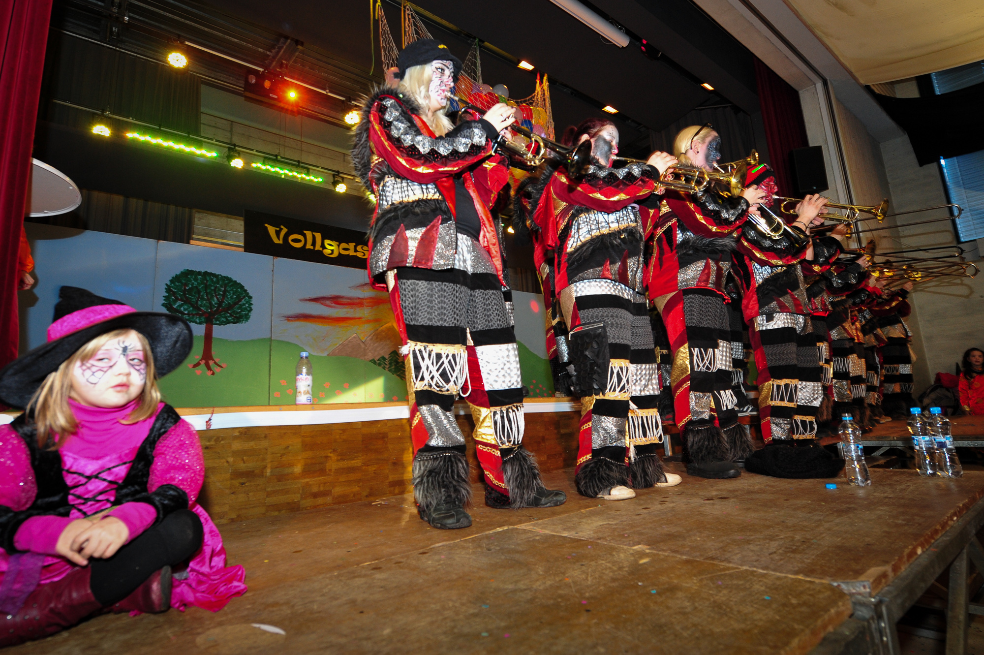 Umzug Hedingen 2016 / Hedingen - Zürich - Schweiz / 23.01.2016