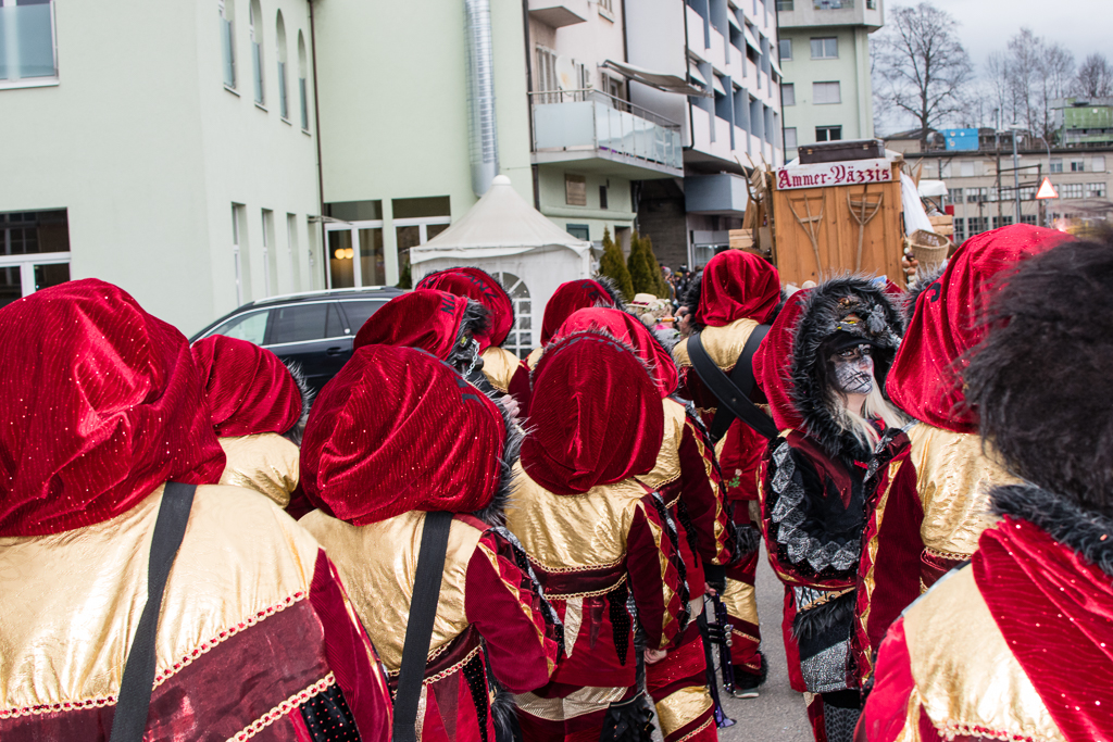 VGH_Aemmer_Umzug_2016_FTP-12