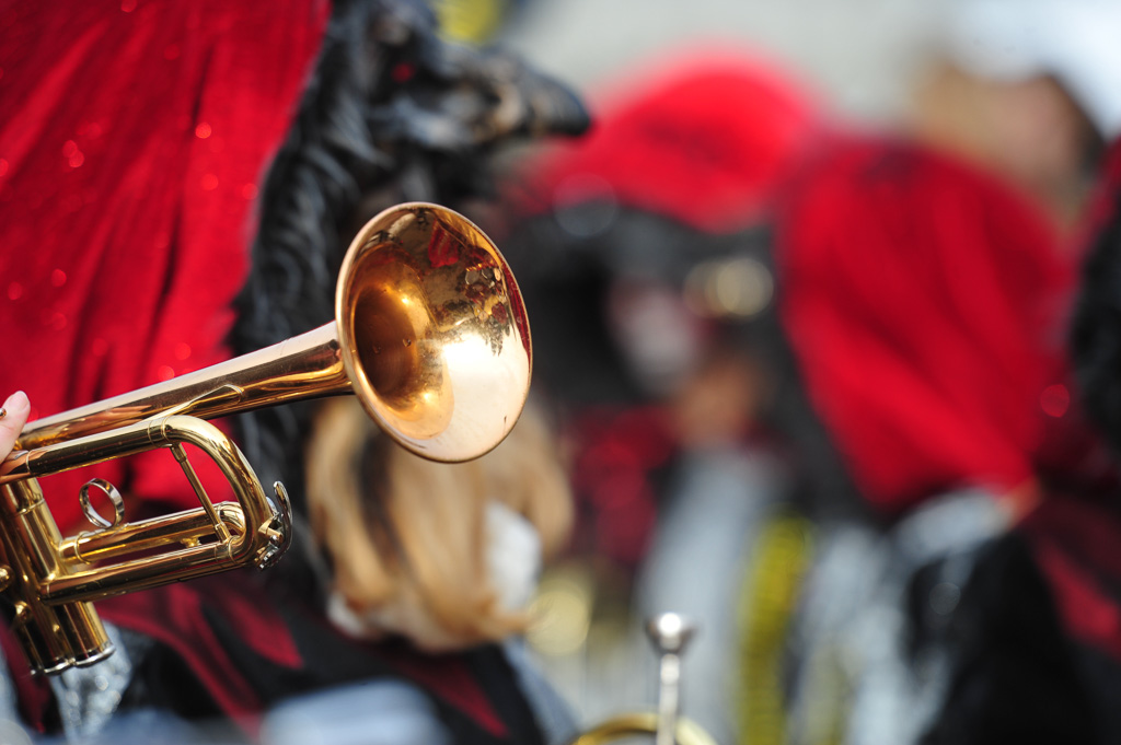 Umzug Hedingen 2015 / Hedingen - Zürich - Schweiz / 31.01.2015