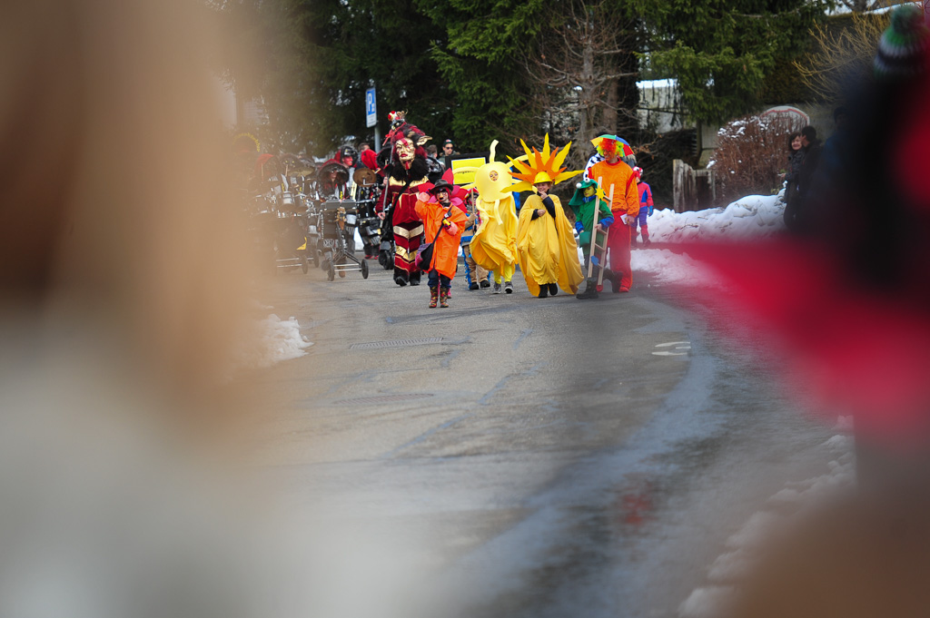 Umzug Hedingen 2015 / Hedingen - Zürich - Schweiz / 31.01.2015