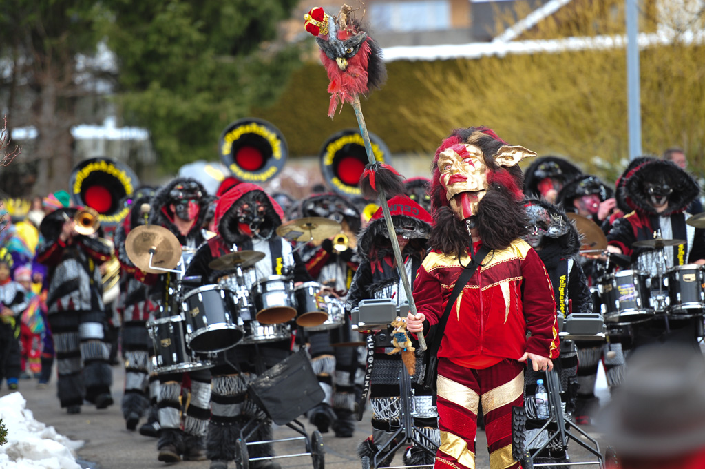 Umzug Hedingen 2015 / Hedingen - Zürich - Schweiz / 31.01.2015
