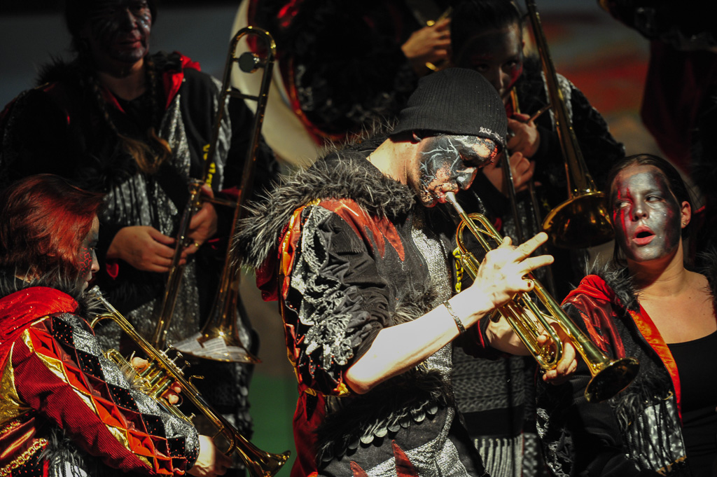 Umzug Hedingen 2015 / Hedingen - Zürich - Schweiz / 31.01.2015