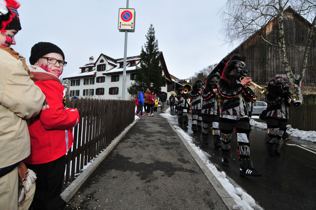 Umzug Hedingen 2015 / Hedingen - Zürich - Schweiz / 31.01.2015