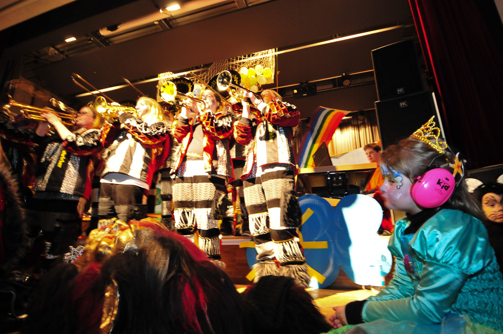 Umzug Hedingen 2015 / Hedingen - Zürich - Schweiz / 31.01.2015